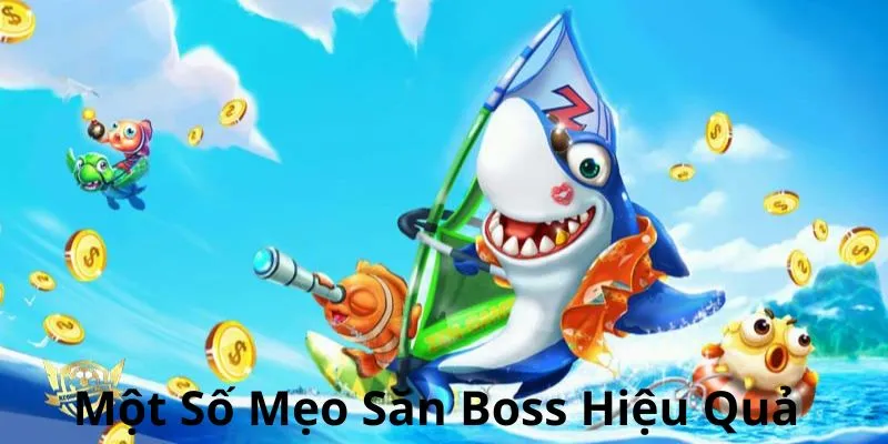 Tổng hợp một số mẹo đi săn cá hiệu quả 100%