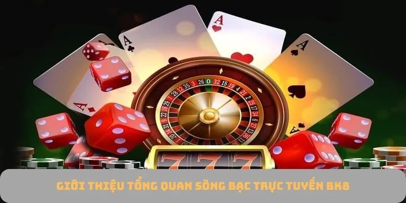 Sòng bạc trực tuyến BK8 - Sân chơi uy tín hàng đầu thị trường giải trí